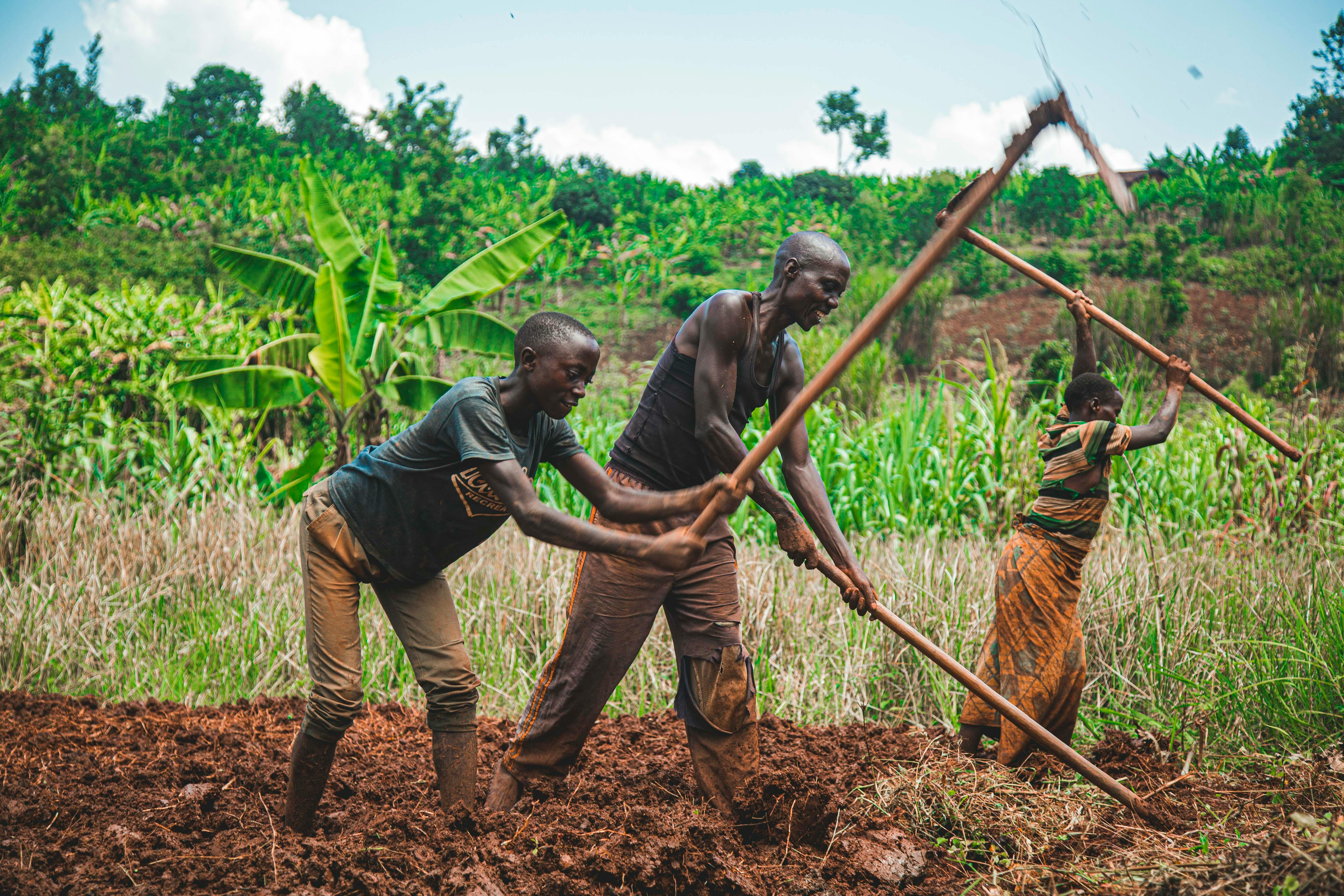 Finance That Grows
